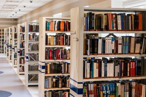 books on shelves at a library, search