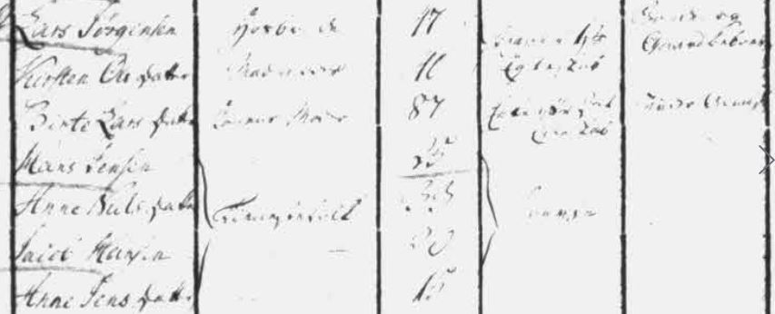 danish census record 1787