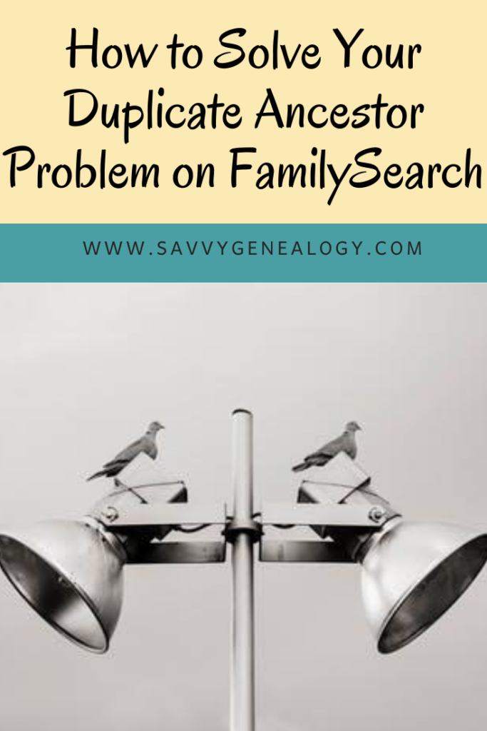 how to merge people in family search, www.savvygenealogy.com